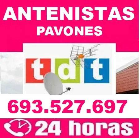 Antenistas Pavones a domicilio